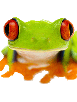 avatar/103672 image