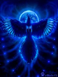 avatar/104528 image
