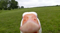 avatar/106609 image
