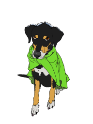 avatar/115322 image