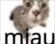 avatar/118247 image