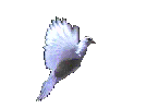 avatar/121108 image