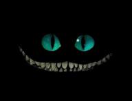 avatar/57058 image