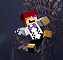 avatar/64688 image