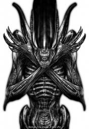 avatar/69695 image