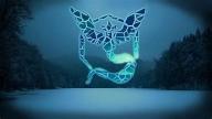 avatar/81288 image