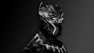 avatar/89442 image