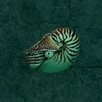 avatar/92349 image