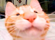 avatar/97127 image