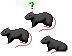 Black Rat Cursor Set thumbnail