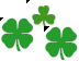 clovers Teaser