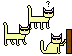 Cool Cat Teaser
