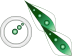 Green Arrow Cursor Set thumbnail