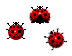 lady bug nature Cursor Set thumbnail