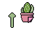 Little Cactus Teaser