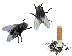 DirtyMiniKit Teaser