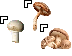 Mushroomcursor set teaser