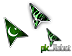 Pakistani Teaser