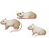 Siamese Rat Cursor Set thumbnail