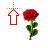Rose_alt.cur Preview
