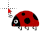 ladybug normal select.ani Preview