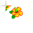 orange hibiscus flower.cur Preview