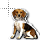 dog.ani Preview
