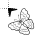 Butterfly.cur Preview