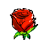 Fading Rose ANI.ani Preview