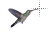 00-FAV-Bird-Animation Hummer 03.ani Preview