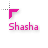 Shasha.cur Preview