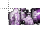 kelly kelly  _   2.cur Preview