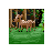bambi.cur Preview