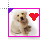 doggie.ani Preview