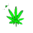 not_set.ani Preview