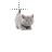 Nice Cat.cur Preview