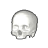 Ivory Skull Max.ani Preview