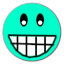 icon-image/9573-64x64x32.png image