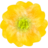 Petals - 05.ico Preview