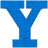Y.ico Preview
