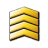 Gunnery_Sergeant.ico Preview