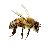Bee.ico Preview