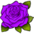 Rose-Purple.ico Preview