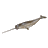 narwhal.ico Preview