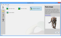 rspv/copy-paste-transparency.png image