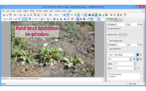 rspv/photo-text-bubbles.jpg image