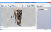 rspv/remove-photo-background.png image