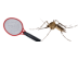 rsth/raquete-eletronica.png image