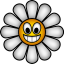 Daisy logo