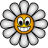 Daisy teaser